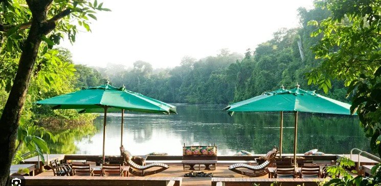 Floresta Amazônica — Alta Floresta MT