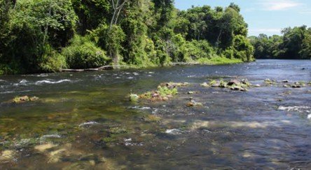 Rio Azul — Alta Floresta