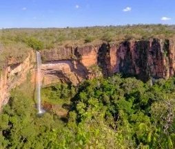 Cerrado mato-grossense