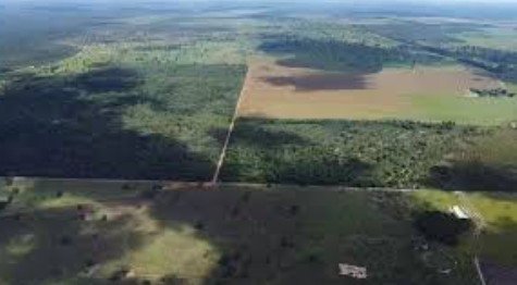 Agronegócio Pontes e Lacerda