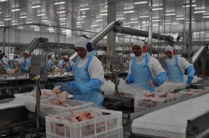 BRF — Fábrica de Lucas do Rio Verde